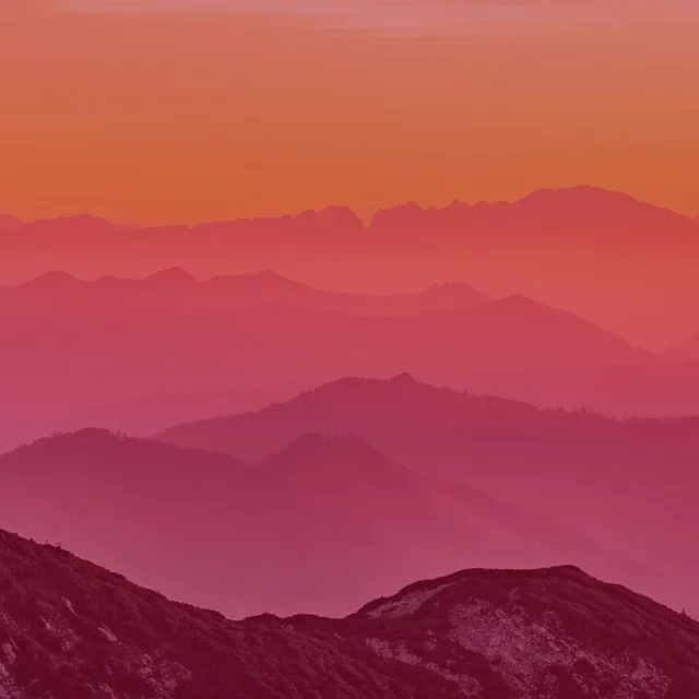 Law firms, chambers and litigation support