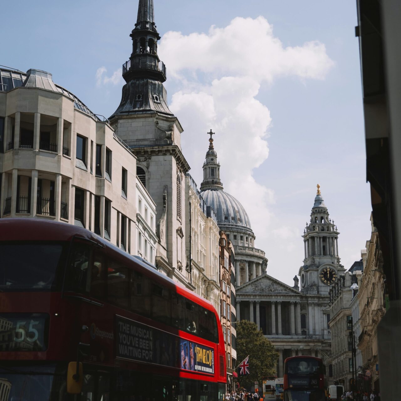 Law firms, chambers and litigation support